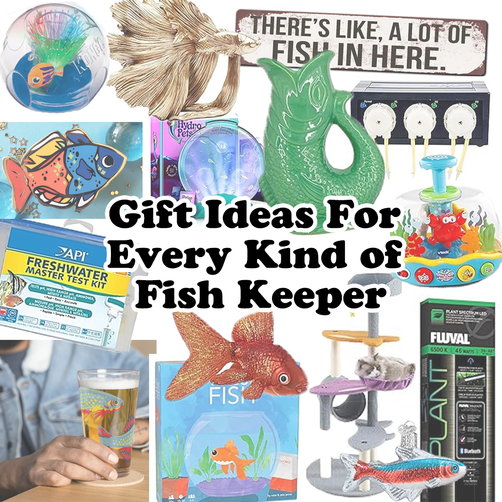 Gift Ideas for Every Kind of Fish Keeper