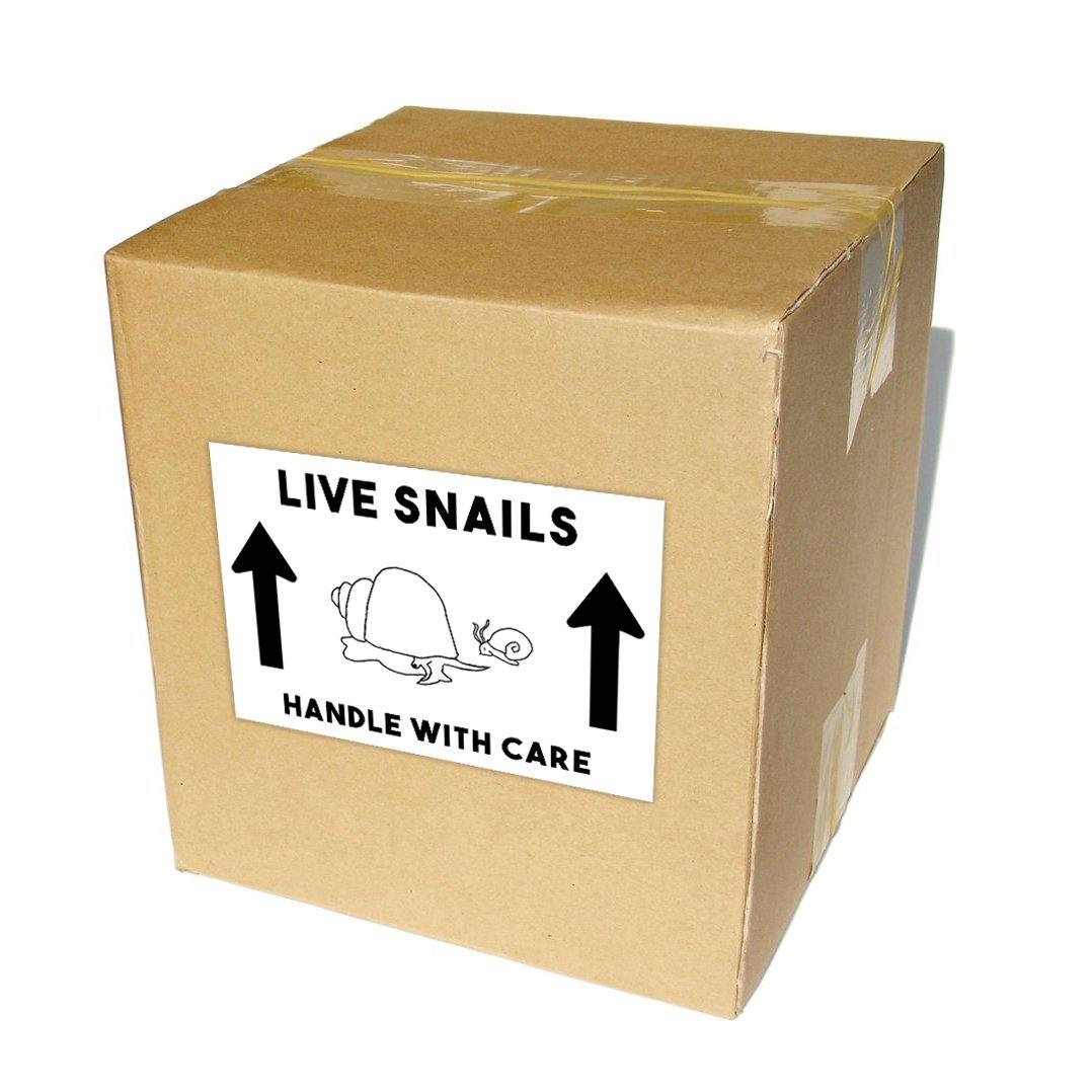 Live Snails Shipping Labels | Windy City Aquariums